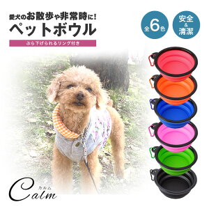 VR{E S 肽 tbNt VR U  t[h{E o h  VR{E gC Jrit  e L  펞 hЃObY ybg