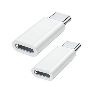Lightning USB Type-C ϊA_v^ 2Zbg PD Ή f[^] USB C ȒPڑ ^ ^