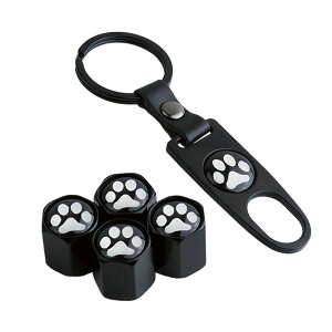 GAouLbv  `t L[z_[ 4 zC[ JX^  oCN