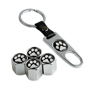 GAouLbv  `t L[z_[ 4 zC[ JX^  oCN