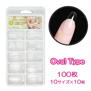 lC`bv NA  NA`bv  Kp 100 10TCY P[X lCA[g