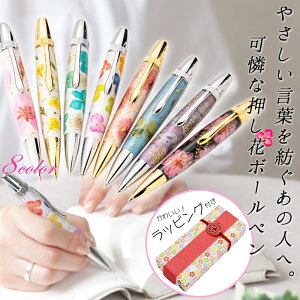 yMtg&lΉz Flower Pen t[y 킢bsO t  {[y  v[g ML El    z N[o[ ؂̉  җ Ê a 