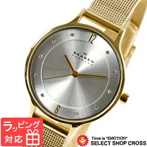 y3Nۏ؁z XJ[Q Y fB[X jZbNX rv SKAGEN v XJ[Q v SKAGEN rv lC XtXL[ CG[S[h AiO SKW2150 XJ[Q fB[X