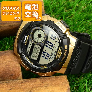 yT^񃉃bsOz  O LbYJVI | w j̎q fW^ rv h CASIO | LbYEHb` qp qǂ NX}X Mtg v[g | ubN S[h V