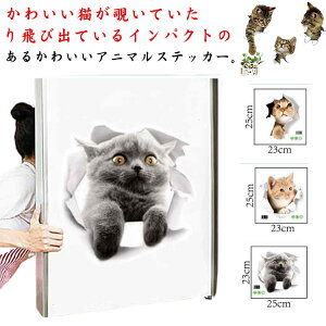 L Aj} J[XebJ[ 6Zbg 킢 J[ hXAbv  V[ oCN J[pi XebJ[ J[XebJ[ B ԃXebJ[ CAR   ECh[  {fB ԑ X