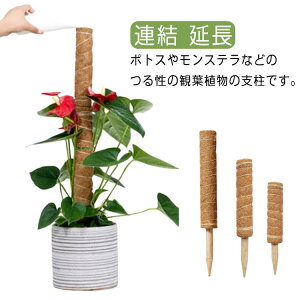 |x 40cm |p 30cm RRXeBbN 50cm Ax ϗtx Xex 3{Zbg RRibcp[XeBbN RRXeBbN Ԃ A  x K[fjOpx ϗtx