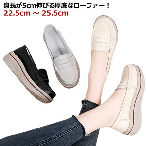 vC ~ h 5cm V[Y pvX Xb| [t@[ Ȃ ₷ tH ɂȂ fB[X  [t@[  Vv  fB[XV[Y C