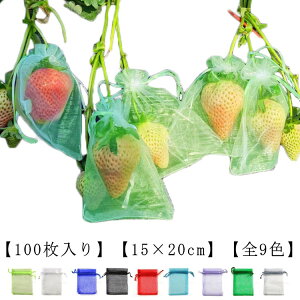 _Ɨp 100 ʎ t[clbg 15×20cm Q ɍ pr | h ʉ В ʕی Ԃǂ  iC ʕیlbg 悯 |pi K[fjOpi t[c