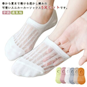 ؍q xr[ LbY 5Zbg q q C ҂݃Xj[J[\bNX ؍ C xr[ C i` ؍  ؍ t@bV j̎q ̎q bV