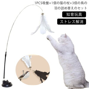 Vя  L 炵 H_ Œ H XgX zՎ L ނ mߋ 킢  R~jP[V ^s Ĥ ǂ 