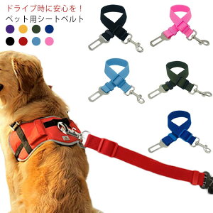 pV[gxg ^ V[gxg LpV[gxg yzybg ybgObY ėp^Cv [h v яoh~ Ԑp[h Sxg J[ANZT[ ybgpi 