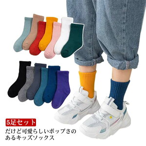  tbgJo[ C q  Mtg Xj[J[\bNX LbY j̎q ̎q xr[ tďH~ 킢 q xr[ v[g N[\bNX \bNX j  