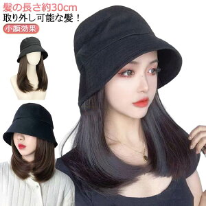  EBbO uE V[g ѕtXq tXq EBbOtXq R  XqtEBbO ×pEBbO ȒP ֗ ̌^    ubN