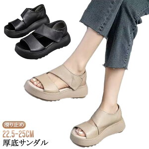 fB[X JWAV[Y gȌT_ t yʐ݌v L Od T_ 5cm ~ lԍHw ʋC gȌT_ ₷  EH[LOV[