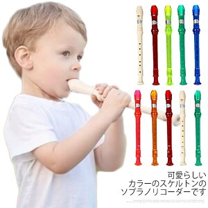 R[_[  qlp wZ qp t[g ߋ \vmR[_[  |_t LbY y j̎q@̎q 2_Zbg