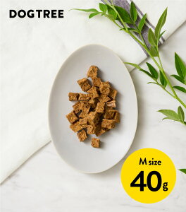 v[gtI|Cg5{yzhbOc[ p؂ij M 40g | Y Y TP   ̂  p hbOt[h DOGTREE