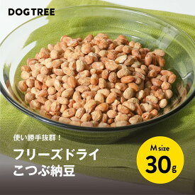 【公式】ドッグツリー フリーズドライ こつぶ納豆 S 10g / M 30g | 無添加 国産 納豆 犬 おやつ 犬のおやつ 犬おやつ 犬用おやつ トッピング ふりかけ ドッグフード DOGTREE