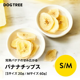 ポイント10倍！7/15限定【公式】ドッグツリー バナナチップス S 20g / M 60g | バナナ ばなな 犬 おやつ 犬のおやつ 犬おやつ 犬用おやつ ドッグフード DOGTREE