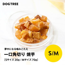 ポイント10倍！7/15限定★楽天1位【公式】【公式】ドッグツリー 一口角切り 焼芋 S 20g / M 70g | 無添加 国産 焼き芋 さつまいも さつま芋 サツマイモ 犬 おやつ 犬のおやつ 犬おやつ 犬用おやつ ドッグフード DOGTREE