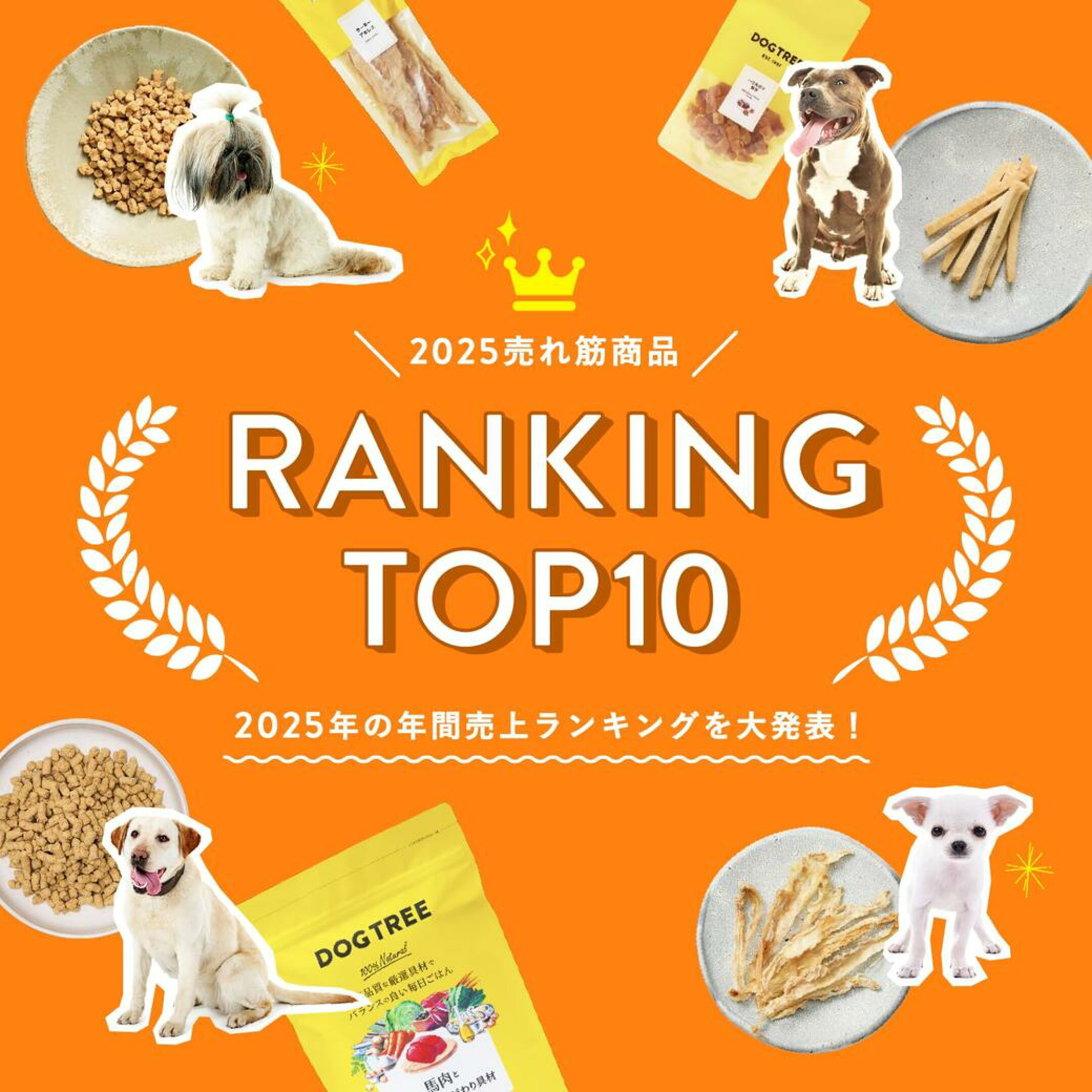 ドッグツリー人気ランキング