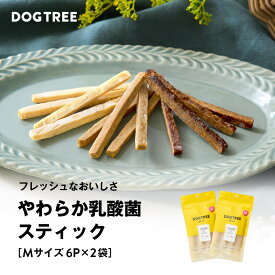 【1,000円ポッキリ！送料無料】【公式】ドッグツリー やわらか乳酸菌スティック M 6本×2袋セット | 買い周り 国産 無添加 個包装 乳酸菌 デンタルケア 歯周病 柔らかいおやつ ジャーキー シニア犬 犬のおやつ 犬おやつ DOGTREE