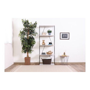 [I I[vbN 60cm 5i zCgI[N EZBO C[bN gi rO _CjO CeAƋysz