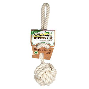 i܂Ƃ߁jRbg{[[v Ly×5Zbgz (pߋ)