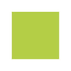 i܂Ƃ߁jWCebNX PF肪݃EOCX 100 B260J-4y×20Zbgz