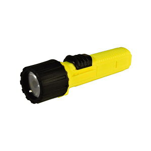 H LEDhd 40x CG[ NICHIDO-DS-10