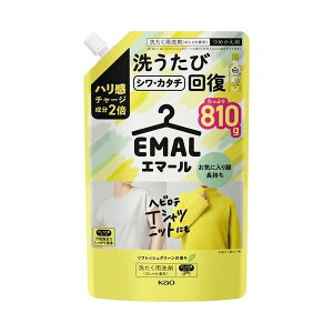 (まとめ)花王 エマールリフレッシュグリーン 詰替 810g(×2セット)