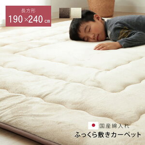 O}bg ~zc YŖ40mmgp }CNt@Co[n ӂ~ wtB[F~x x[W 190×240cm