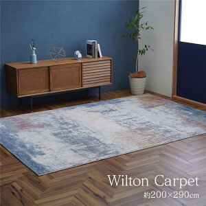 ���O �}�b�g �O�~ ��200×290cm �����` ���_���� �x���M�[�� �R�� �h�L ���L �z�b�g�J�[�y�b�g�Ή� ���g�[�Ή��y����s�z