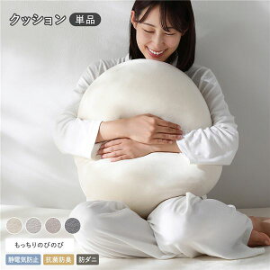 �̂т̂� �g���x���A �������� �N�b�V���� �P�i ��55×40×20cm �o�j��