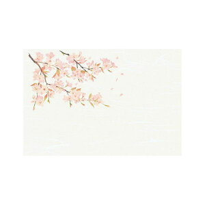 }R[ p Ɩp 3_a΂܂ lG  (50) yamaco64377