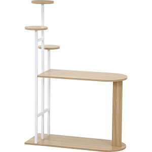 [I 84cm zCg X`[ fBXvCTChe[u gi rO _CjO CeAƋysz