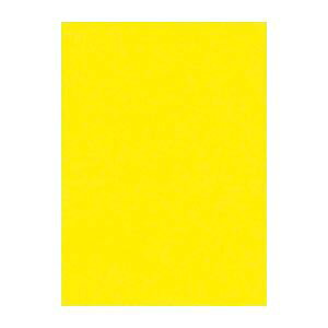 i܂Ƃ߁j ^ j[J[R lc 392×c542mm 4NCR-319  100 y×2Zbgz