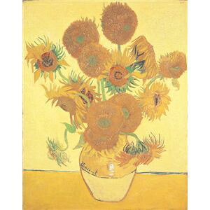 E̖V[YAvn[h BZgE@ESbz uЂ܂viztjysz