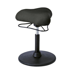 JE^[`FA 41cm LOW^Cv ubN X`[ 360x] ~ v|[VXc[ rO _CjOysz