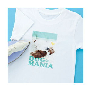 i܂Ƃ߁jTTvC CNWFbgɋACvgizpj JP-TPRTYNy×5Zbgz