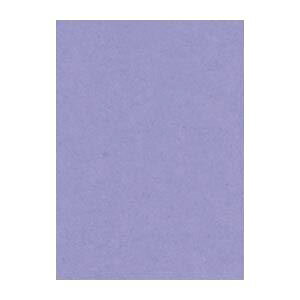 �i�܂Ƃ߁j ���^�� �j���[�J���[R �l�c�� ��392×�c542mm 4NCR-217 �ӂ��ނ炳�� 100���� �y×2�Z�b�g�z