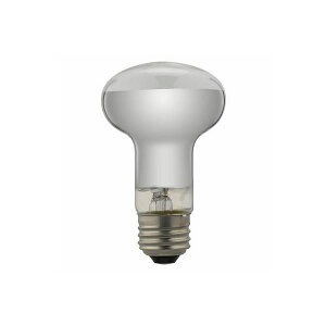 (�܂Ƃ�)YAZAWA ���t�`���M�����v RF100V90W�y×10�Z�b�g�z