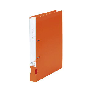 i܂Ƃ߁j r[gWp D-Ot@C A4^e^iw34mmj IDF-A4-OR IW 1 y×5Zbgz