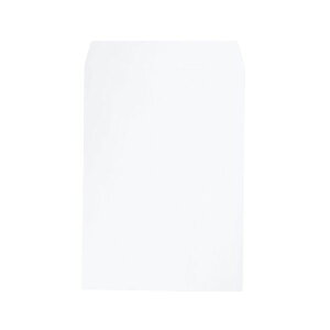 Pg p2 100g 500 03326