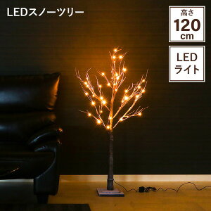 A^ IuWF u 80×s80×120cm uE LEDXm[c[ CeAG rO    X X