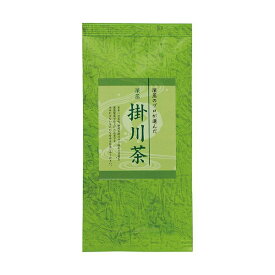 （まとめ）丸山製茶 深蒸 掛川茶 100g 1袋【×5セット】【代引不可】