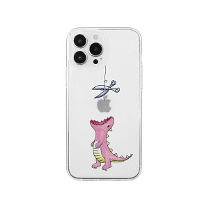 AKAN \tgNAP[X for iPhone 13 Pro Max ͂؂UEX sN AK21024i13PM