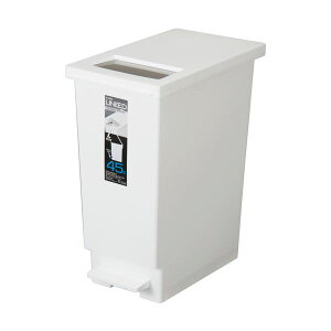 �V�P���� ���j�[�h �v�b�V�����y�_�� 45L �z���C�g DS-453-045-8 1��