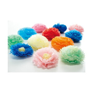  ͂Ȃ ܐF 20FZbg(500)