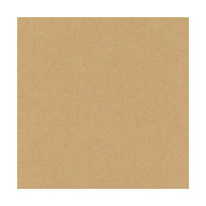 ebN j[J[R l  4NCR-109 1pbN(100)