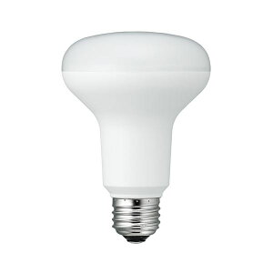 YAZAWA R80���t�`LED �d���F LDR8LH